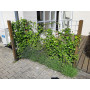 Galvaniseret Net (rionet) 120x225 cm - 10 x 10 cm maske - 5 mm