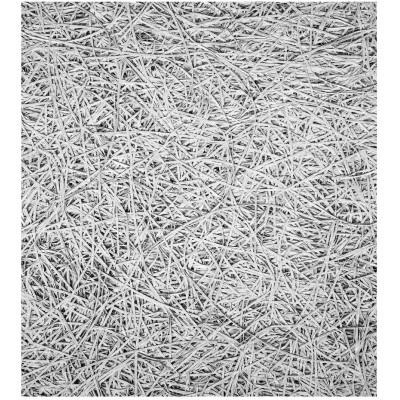 Træbeton (Lydabsorberende Loftplade) DLH Ultrafin 1 mm - 60 x 120 cm x 25 mm Hvidmalet